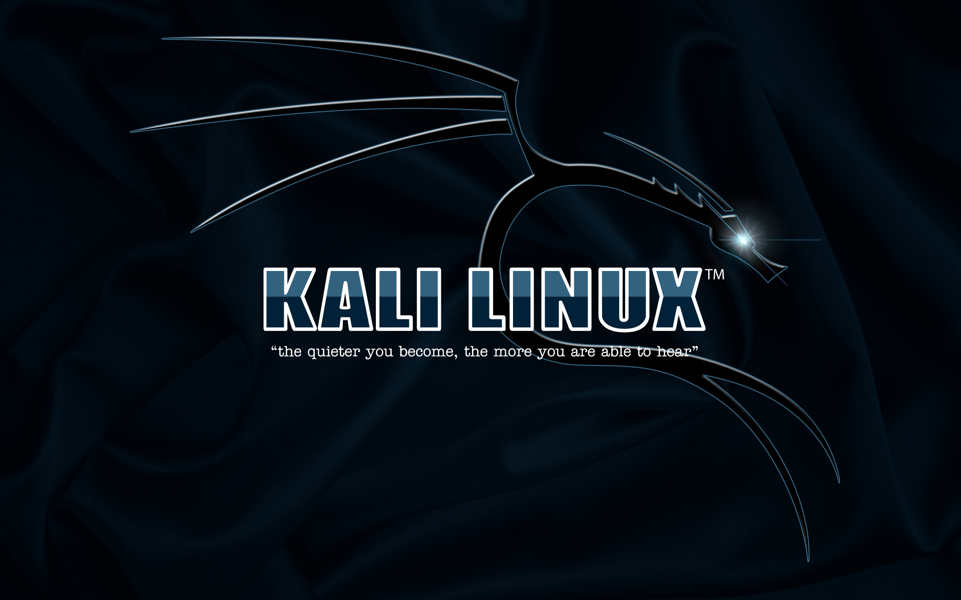 Kali Linux, typography, blue background, Linuxx1200 Wallpaper