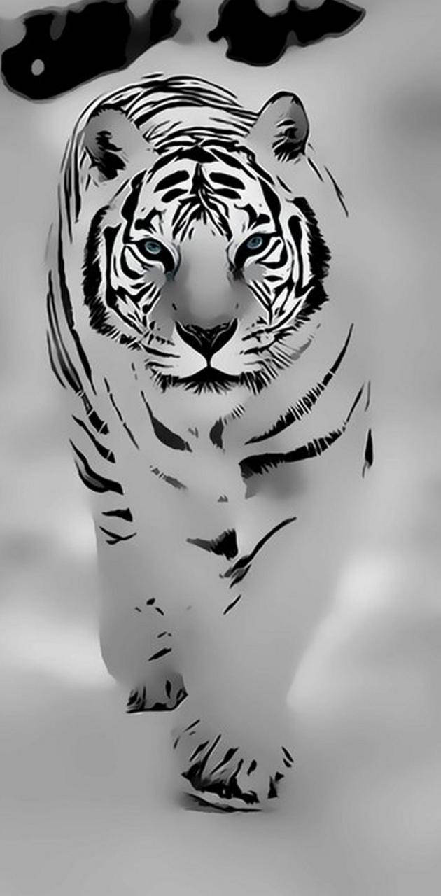 White Tiger Wallpaper