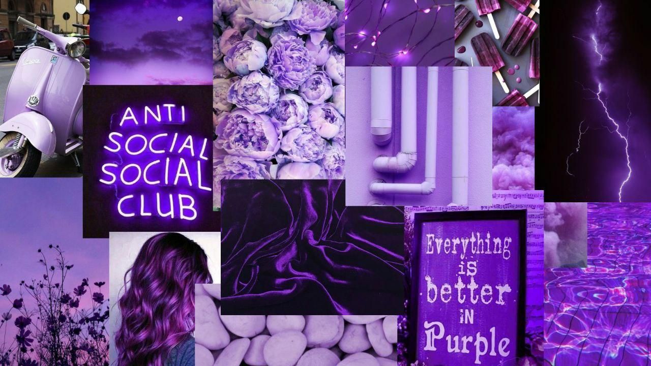purple. desktop wallpaper. college. HD. Desktop wallpaper, Purple, Wallpaper