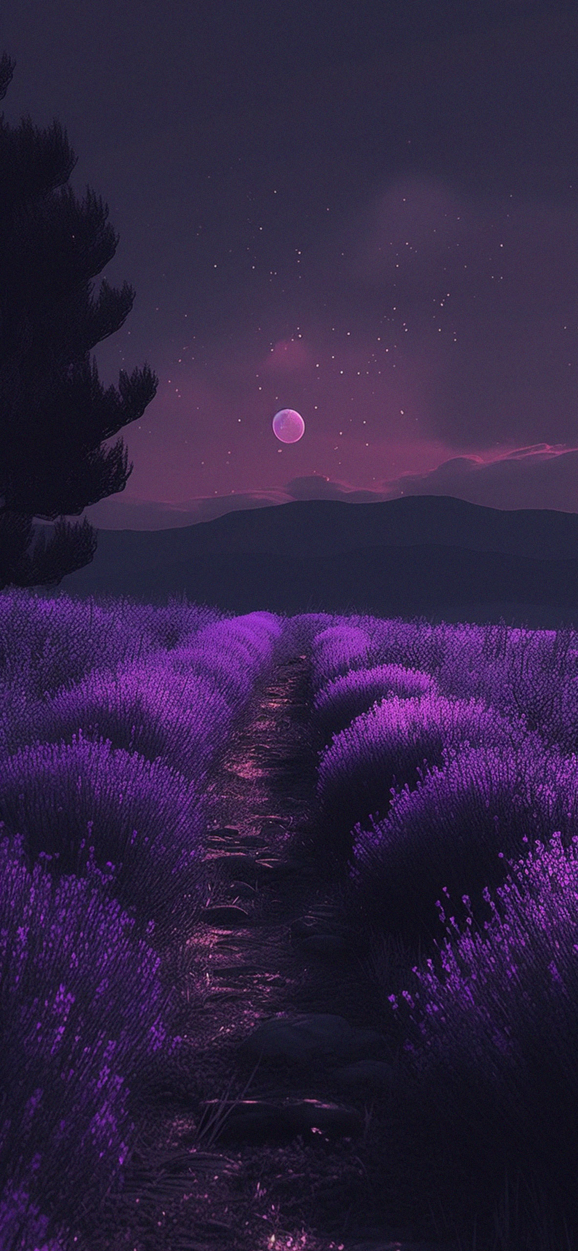 Night Lavender Field Art Wallpaper