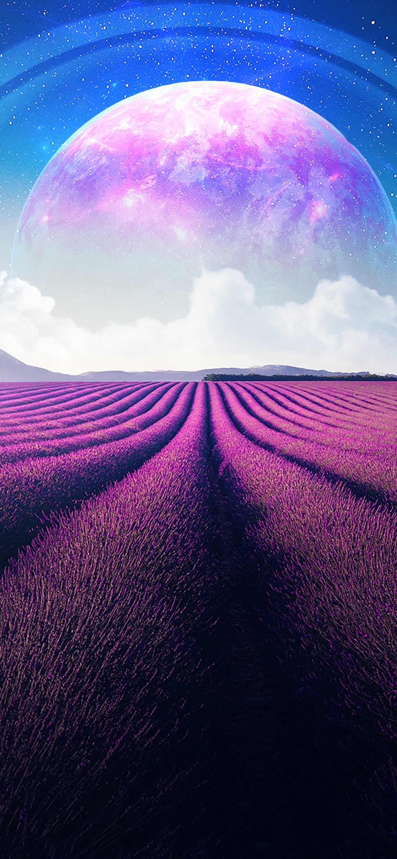 Lavender fields Wallpaper 4K, Lavender farm, Landscape, Planet