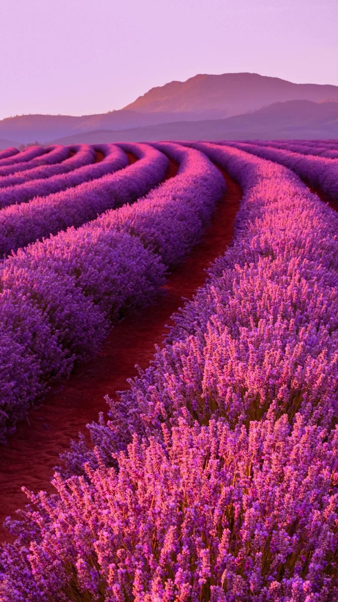 Best Provence Wallpaper [ HQ ]