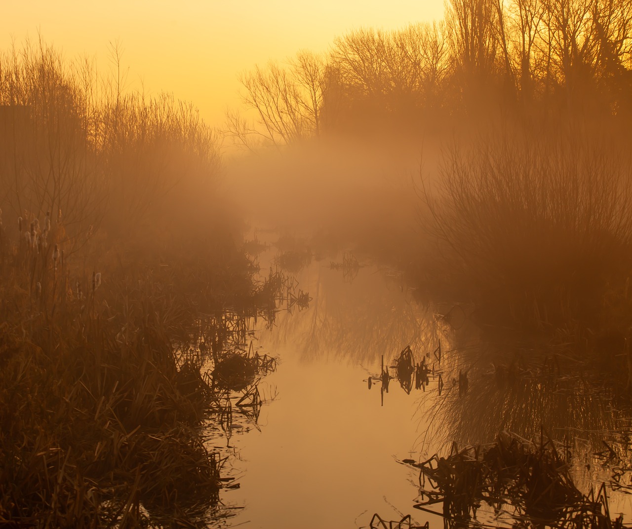 Misty River Riverbank
