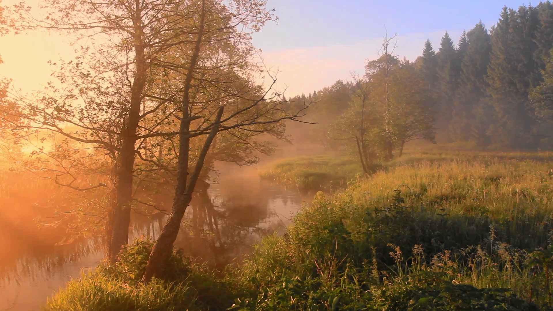 Sunrise In Forest Near River On Misty Stock Footage SBV 333030667
