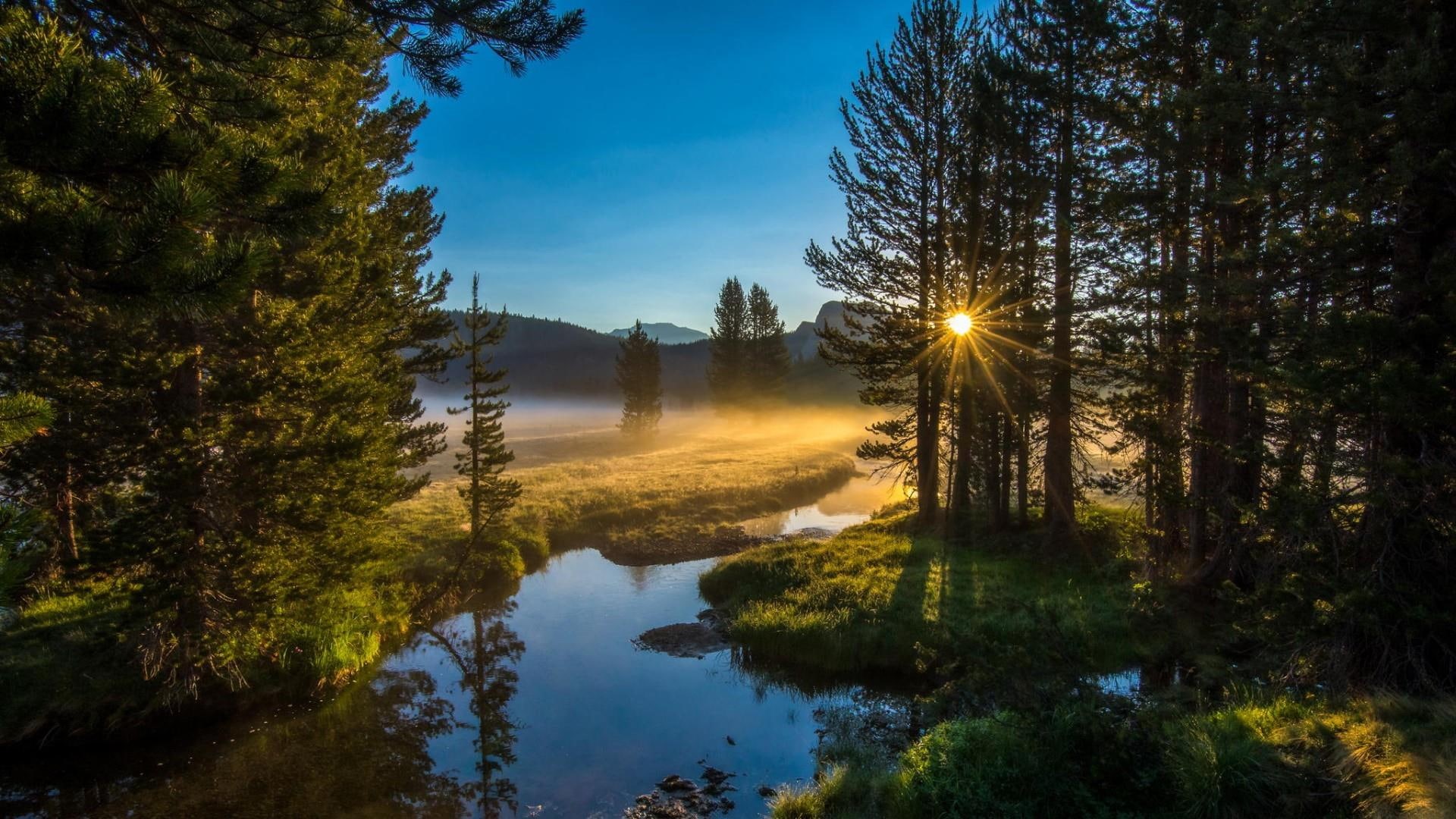 Wallpaper / morning, sunrise, river, 1080P, forest, creek, misty, fog, down free download