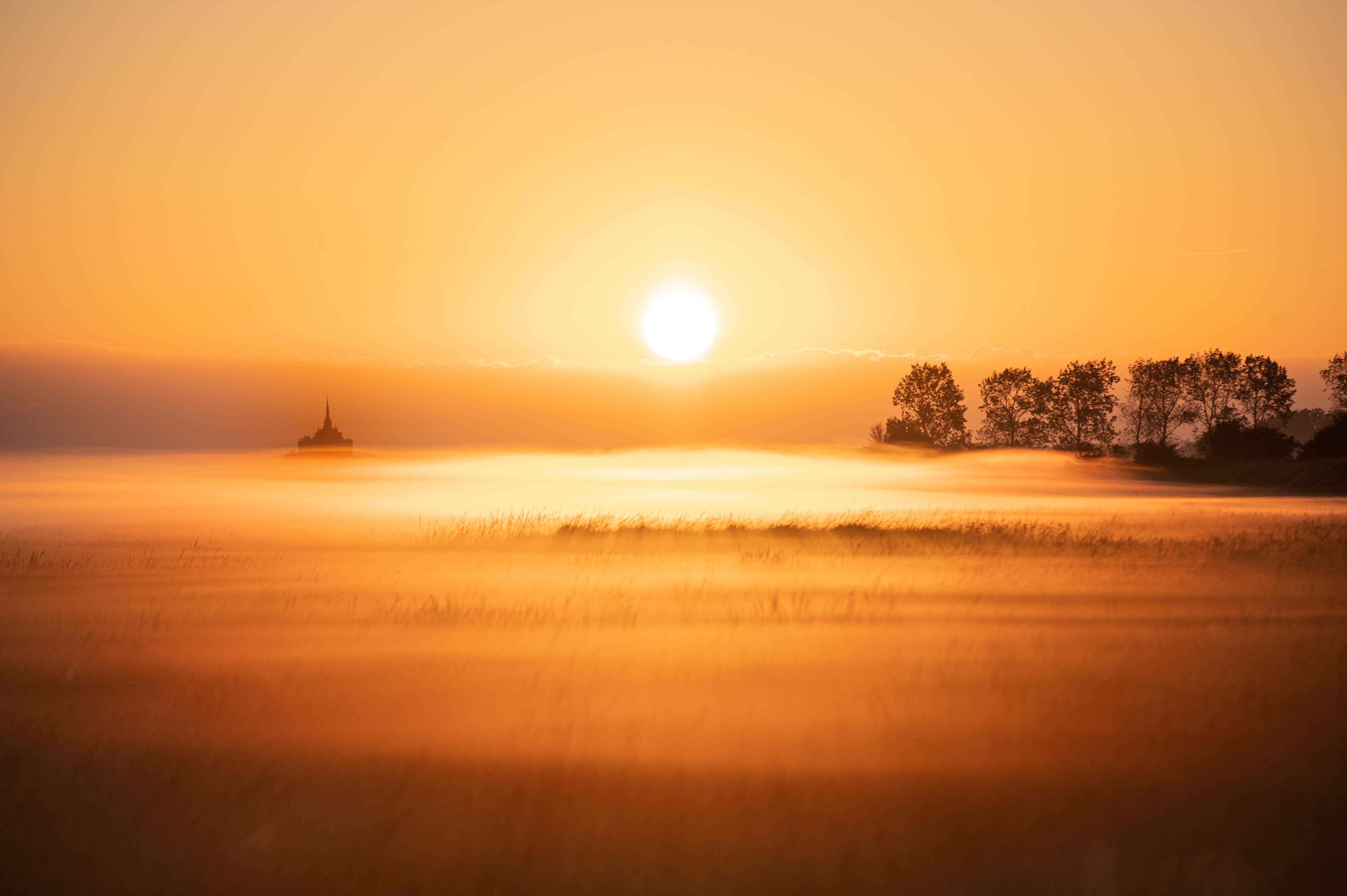 Misty river in forest illuminated by sunlight in morning time · Free