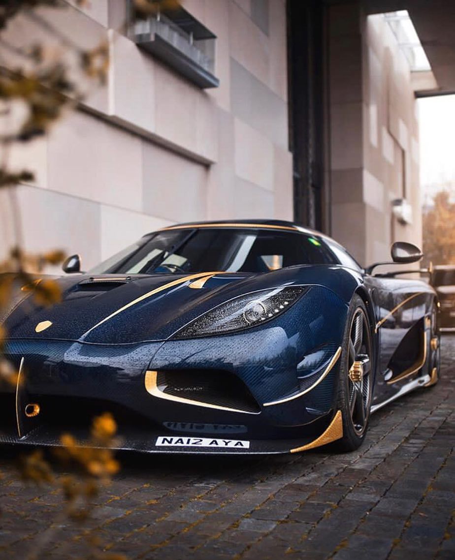 Ghost Squadron by Koenigsegg on Instagram: “Hiding behind the leaves