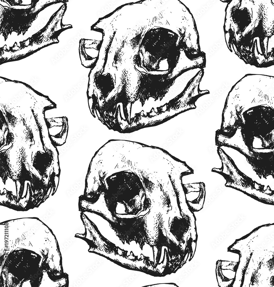 Seamless texture with cat skull. Repeating background. Tile pattern. Can be used as wallpaper, desktop, wrapping, fabric or background for your blog, covers, cards. Black and white. Stock Vector