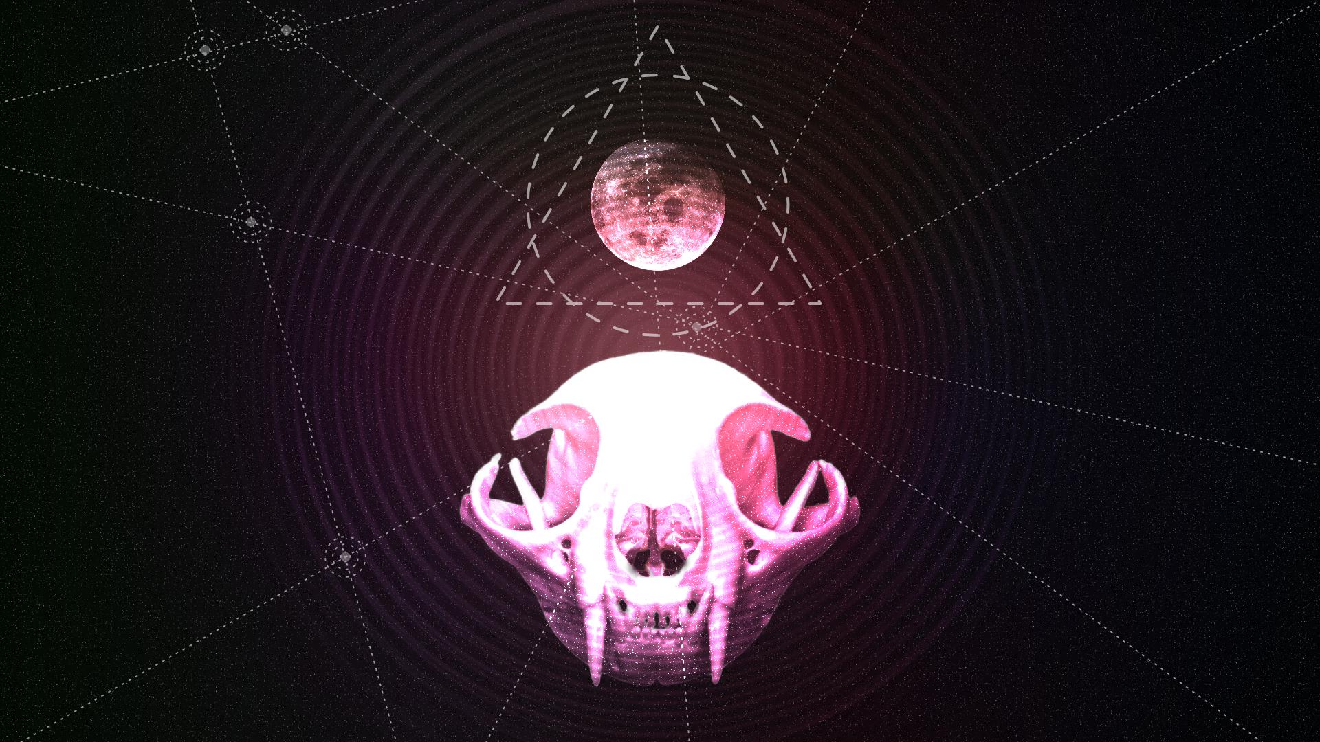 1920×1080 Cat skull esoteric abstract