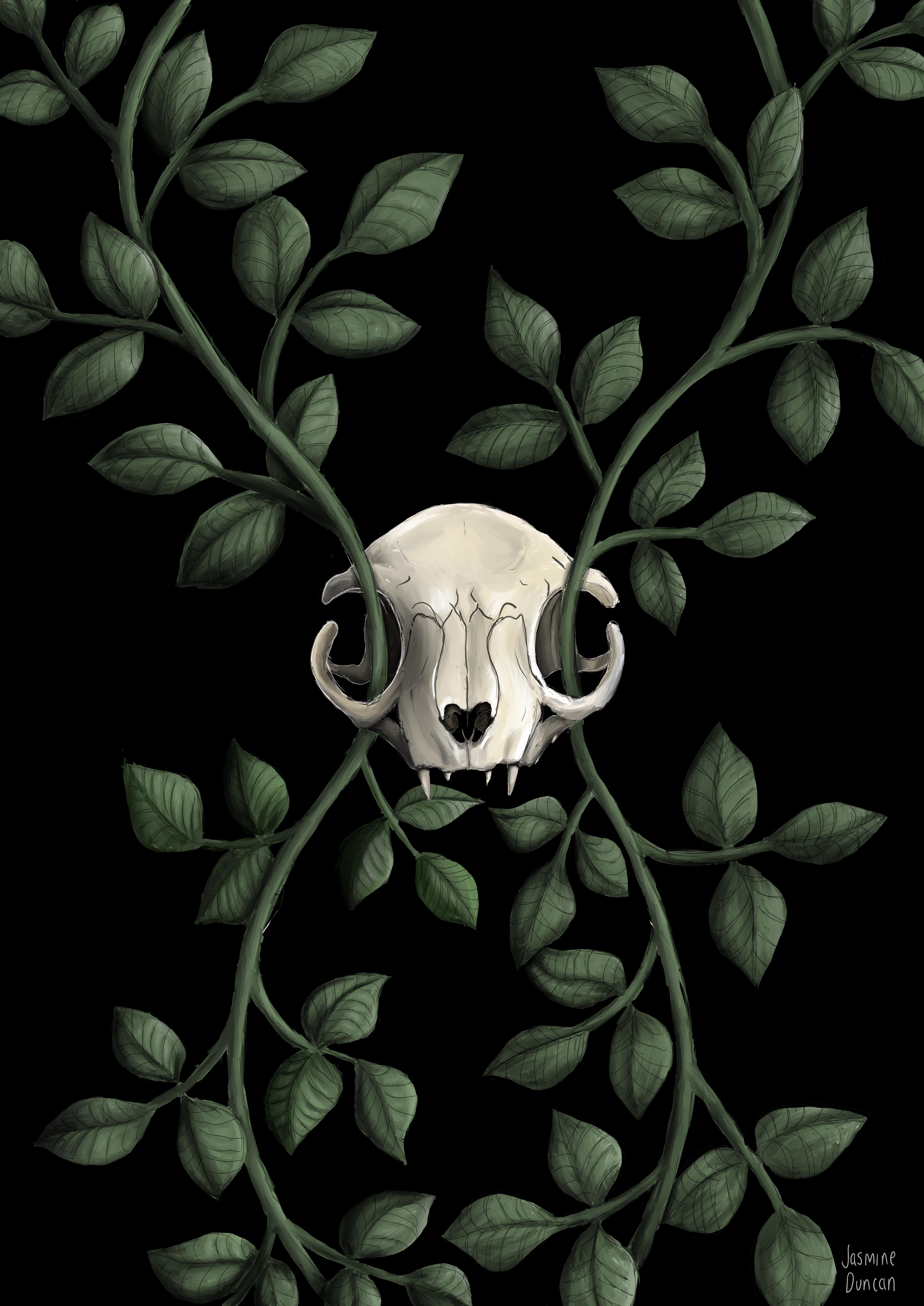 Cat skull and vines, me, digital, 2020