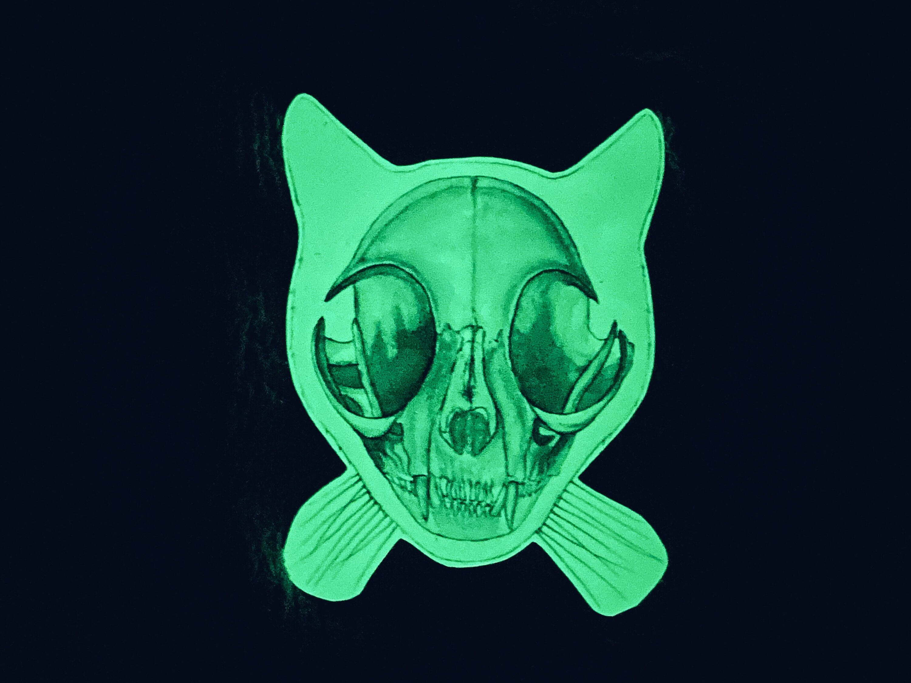 Glowing Cat Skeleton Fridge Magnet: Glowing in the Dark Cat