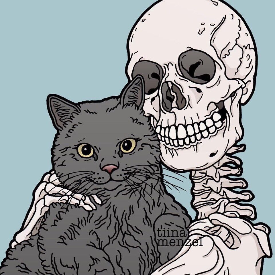 Skeleton and Cat. Skeleton art, Skull wallpaper, Pop art image