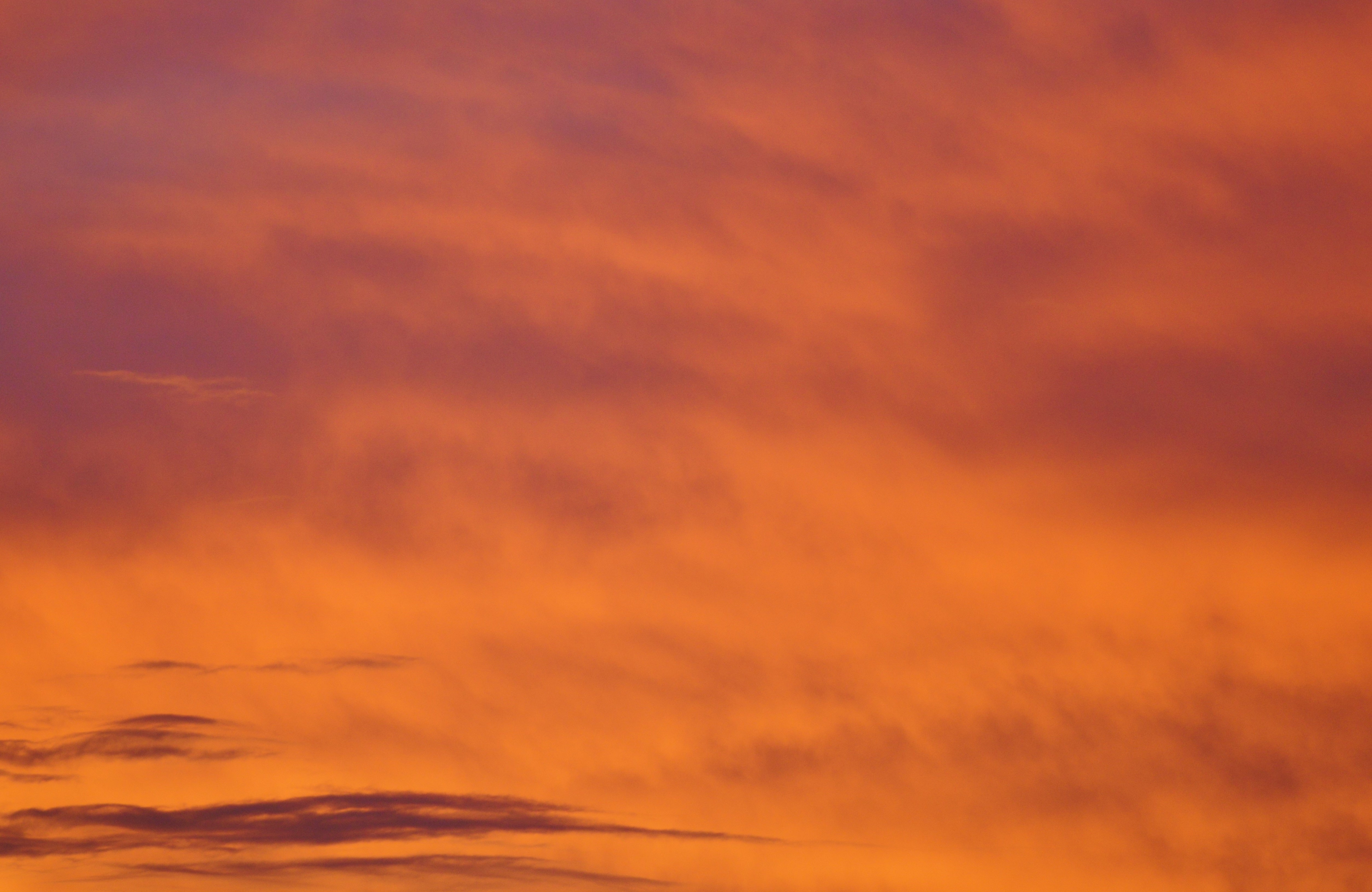 Orange Sky Photo, Download The BEST Free Orange Sky & HD Image