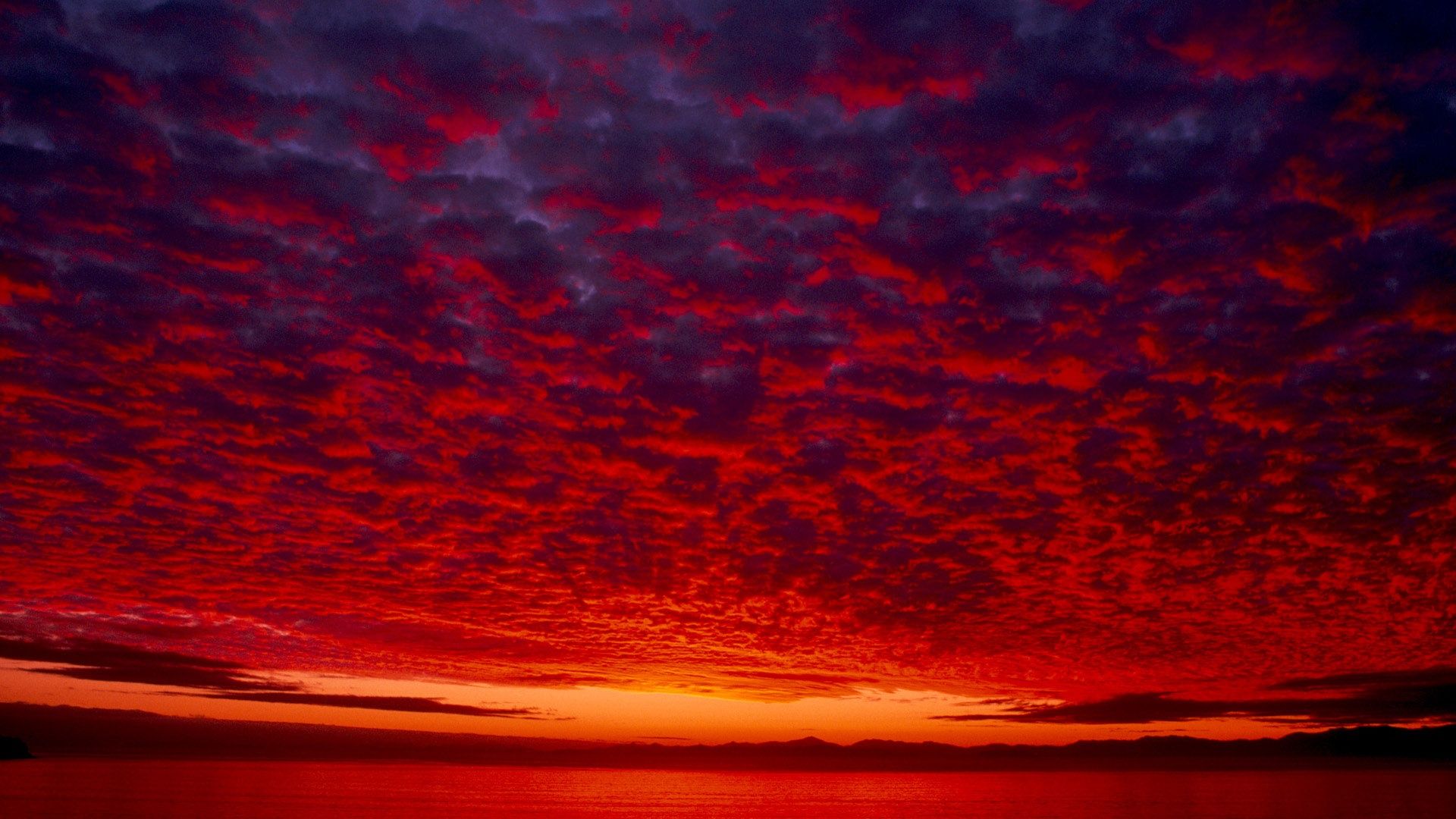 Day 9. Orange sky in the morning. .. Red sky, Orange sky, Night sky wallpaper