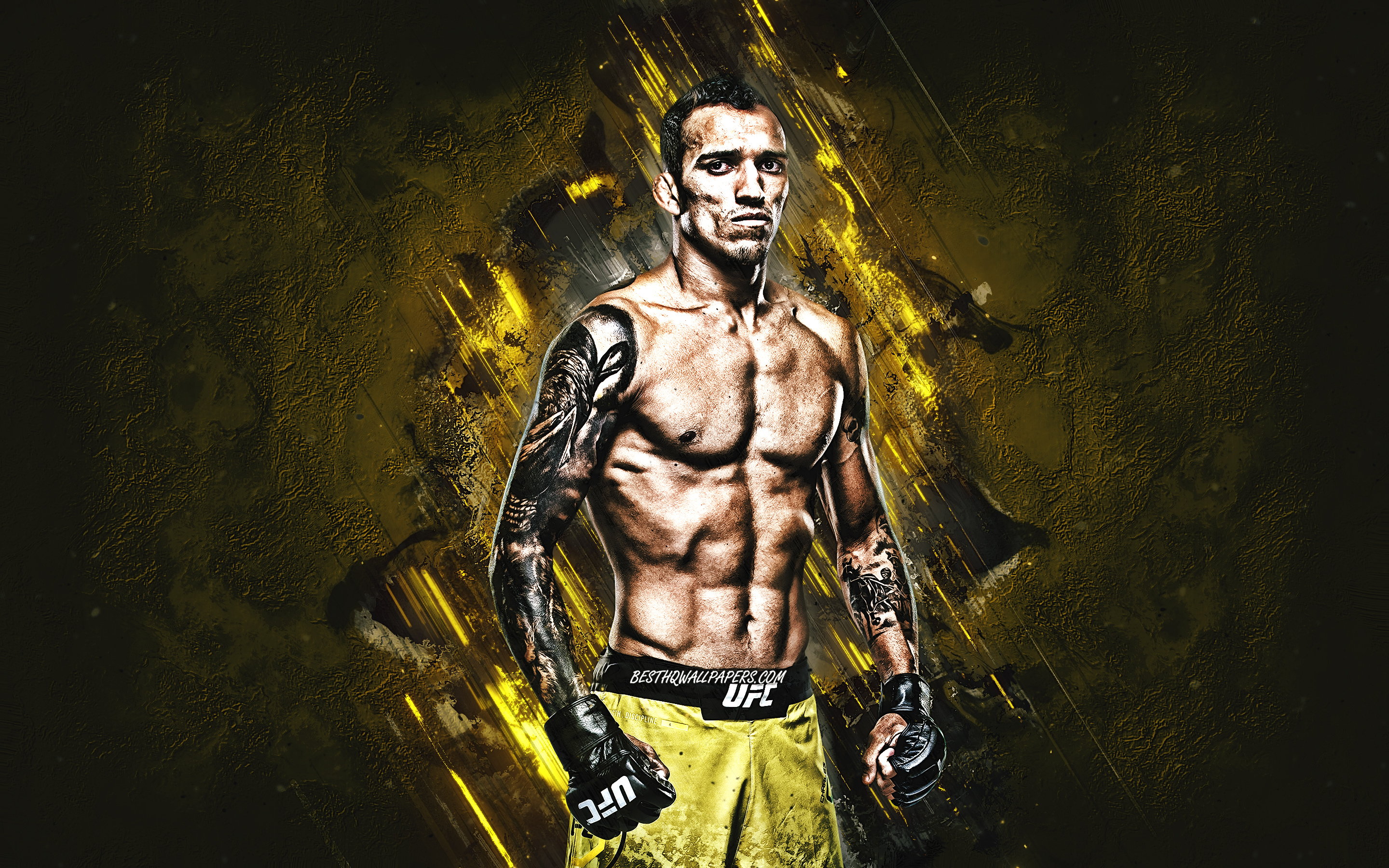 Download wallpaper Charles Oliveira, MMA, portrait, brazilian fighter, yellow stone background, creative art for desktop with resolution 2880x1800. High Quality HD picture wallpaper