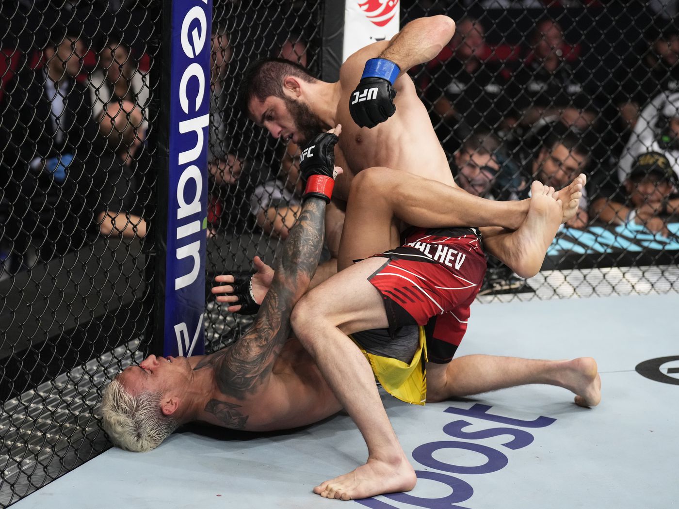 Islam Makhachev vs. Charles Oliveira full fight video highlights