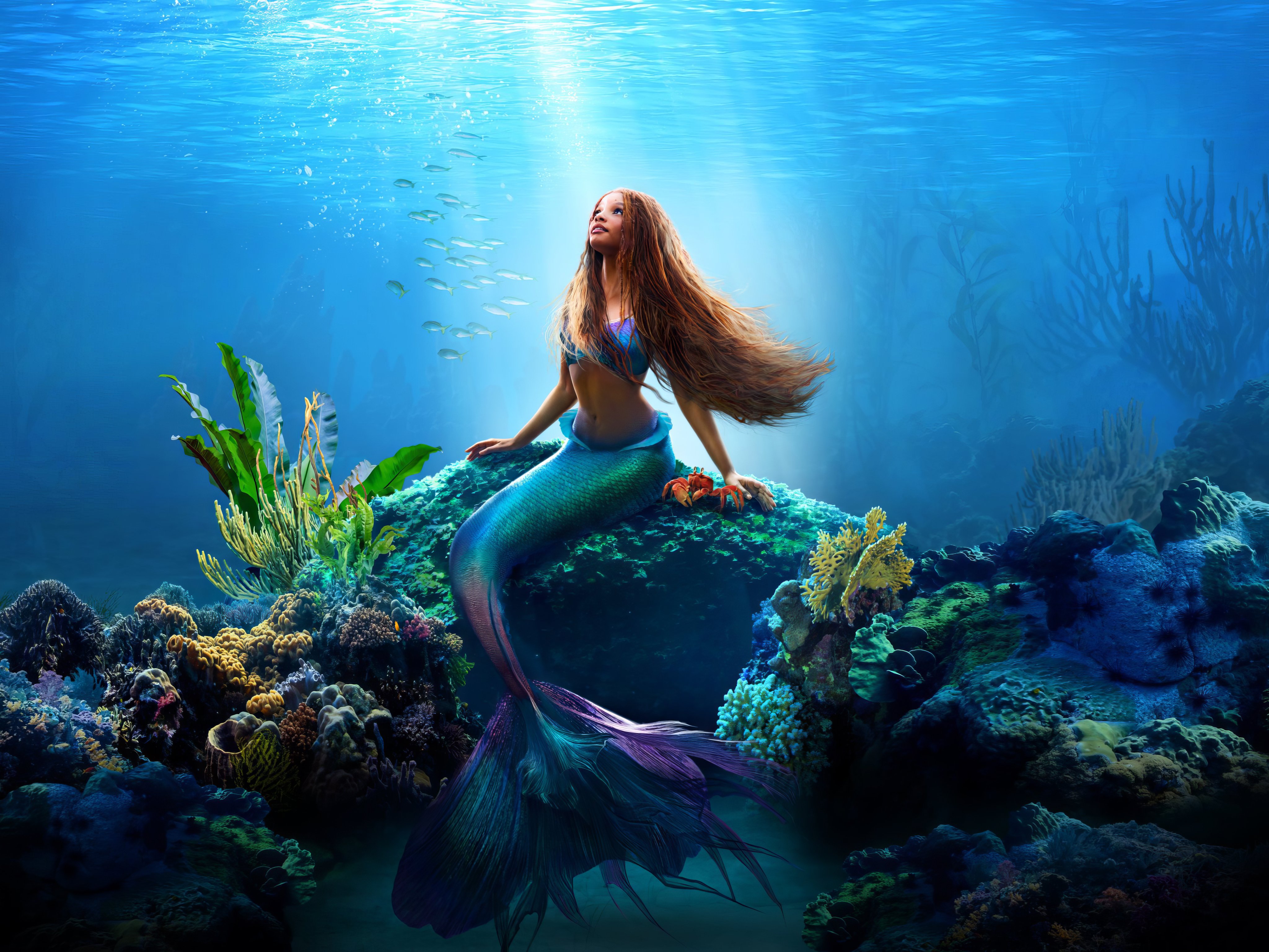Download Mermaid Ariel The Little