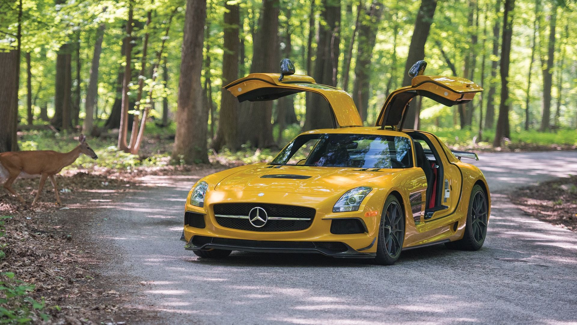 Mercedes Benz SLS AMG Black Series VIN: WDDRJ7HA4EA011147