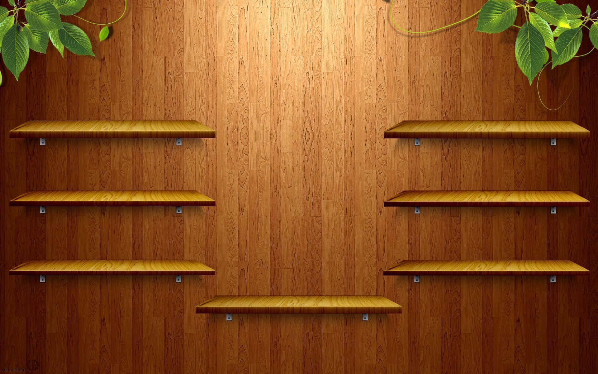 Shelf Background s