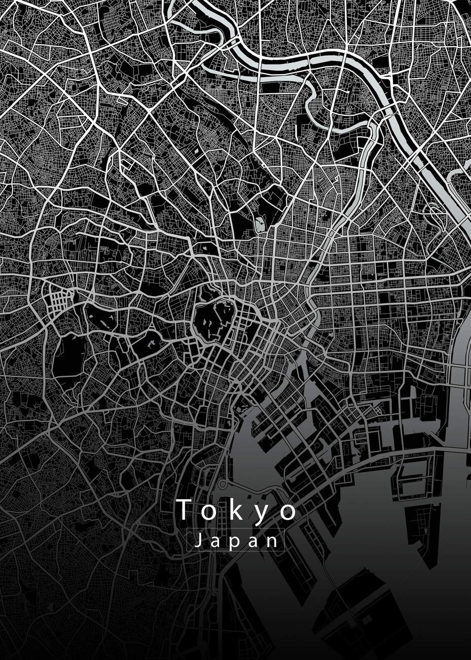 Tokyo Japan City Map Wall Mural