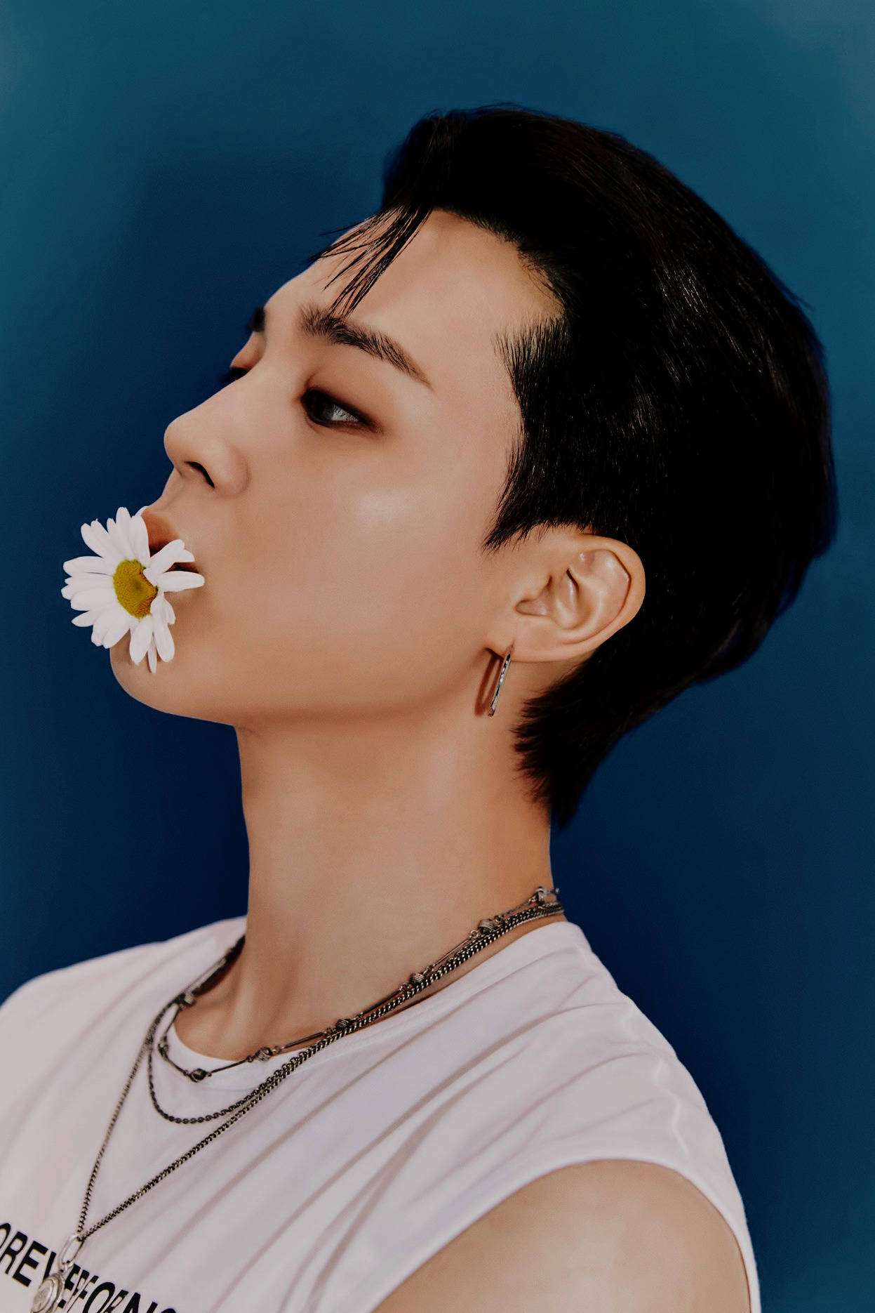 Download Jimin For Weverse Magazine Wallpaper