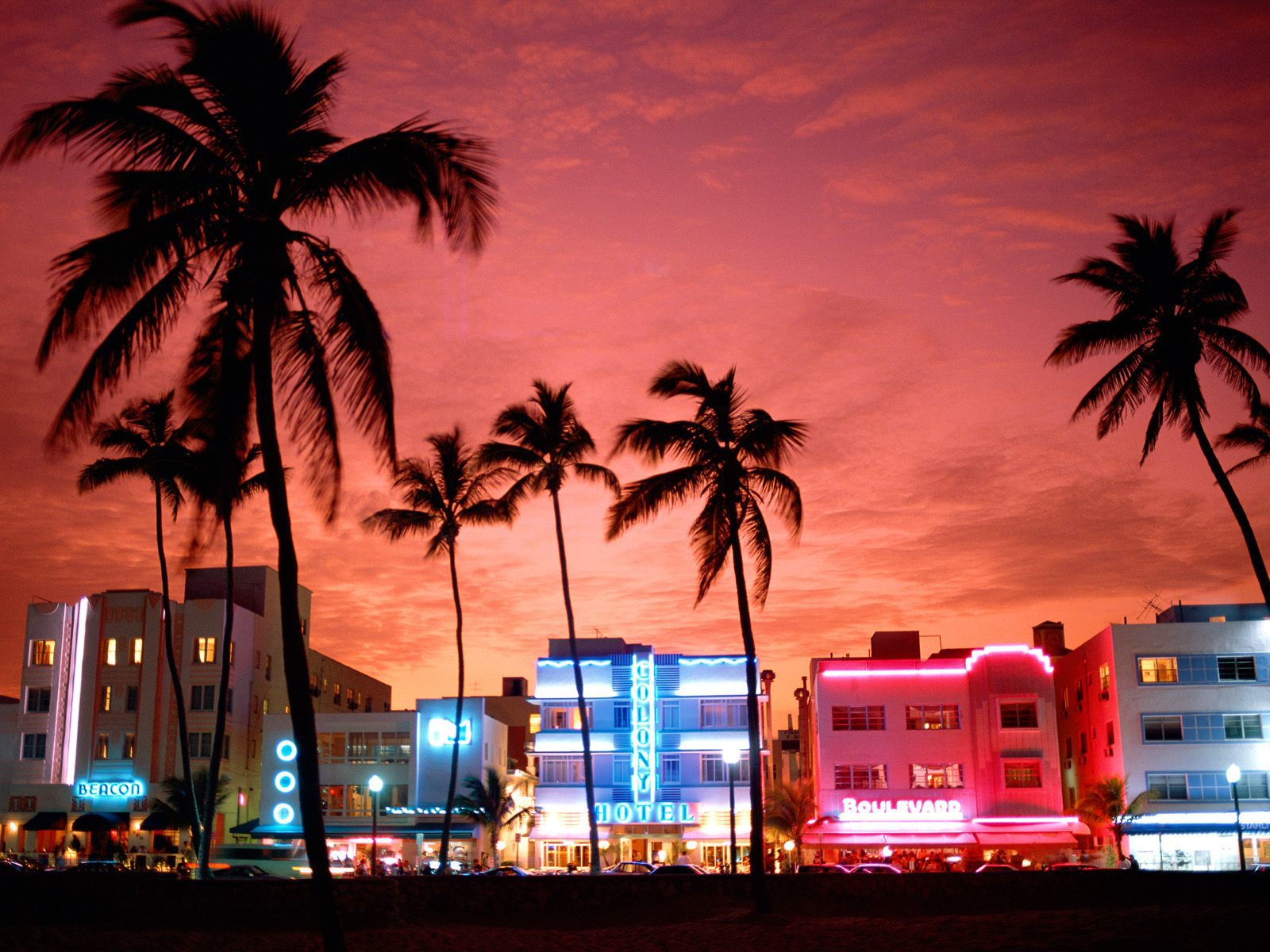 Neon lights of Miami Desktop wallpaper 1024x768