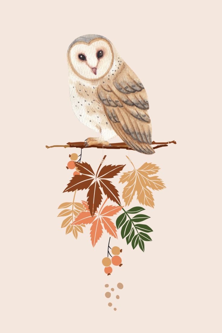 Owl Fall Autumn Leaves Phone Wallpaper. Owl wallpaper, Phone wallpaper, Fall owl