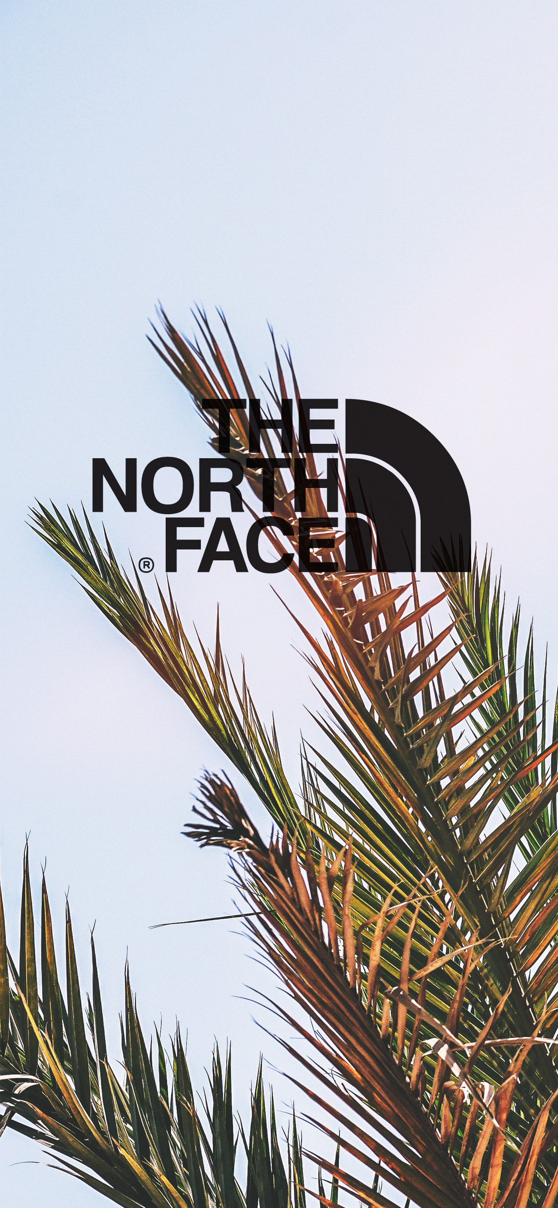 TheNorthFace. Фоновые рисунки