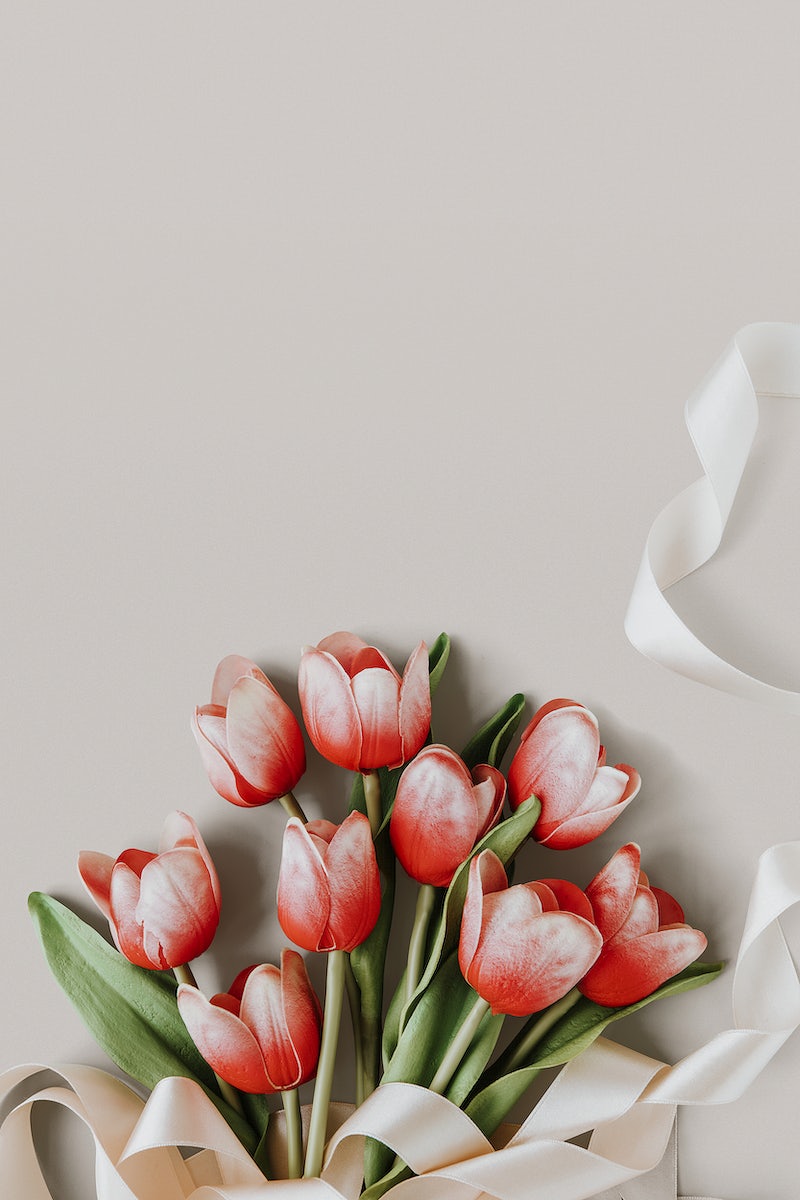 Aesthetic pink iPhone wallpaper, romantic