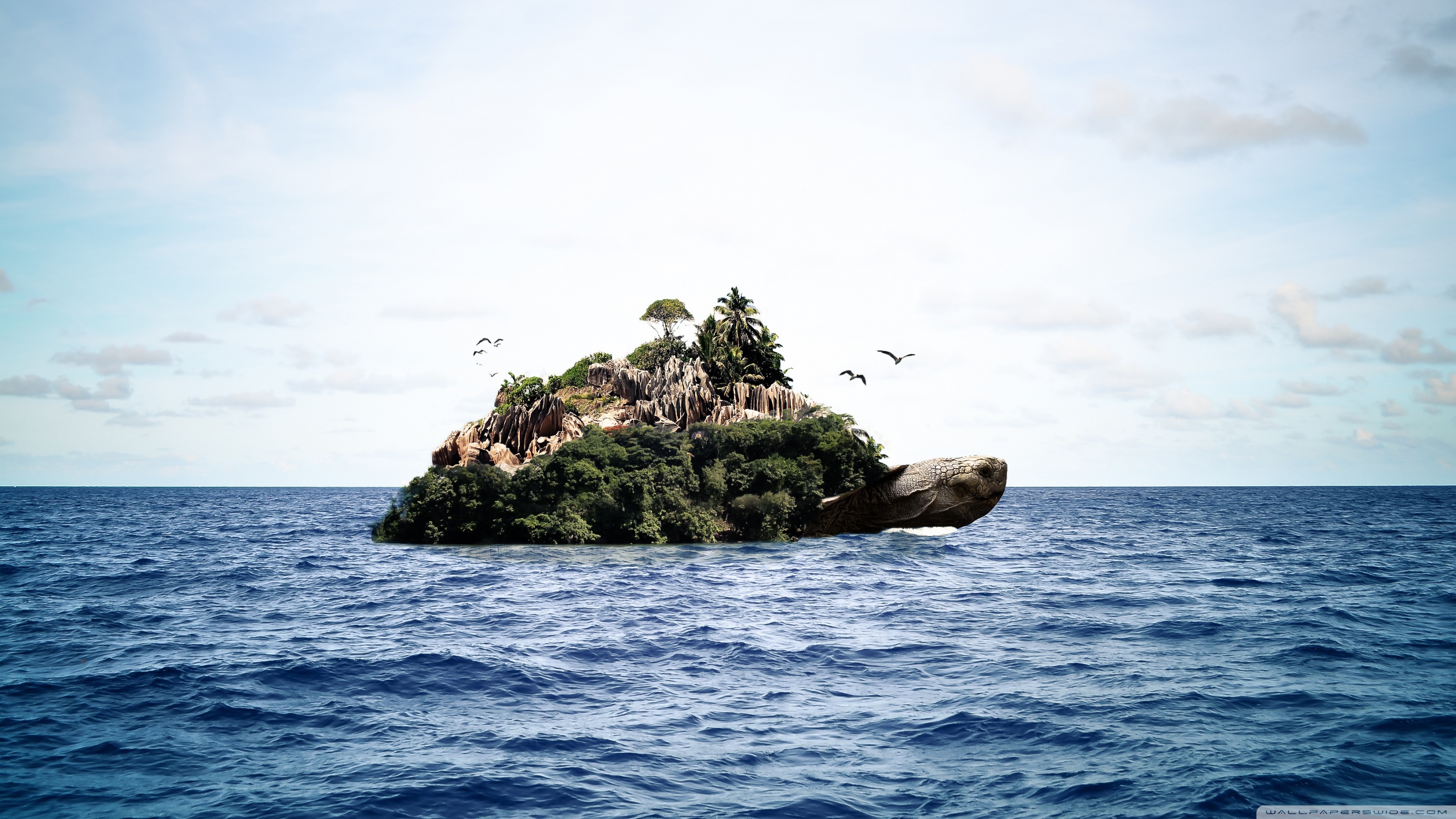 Turtle Island Ultra HD Desktop Background Wallpaper for 4K UHD TV, Widescreen & UltraWide Desktop & Laptop, Multi Display, Dual Monitor, Tablet