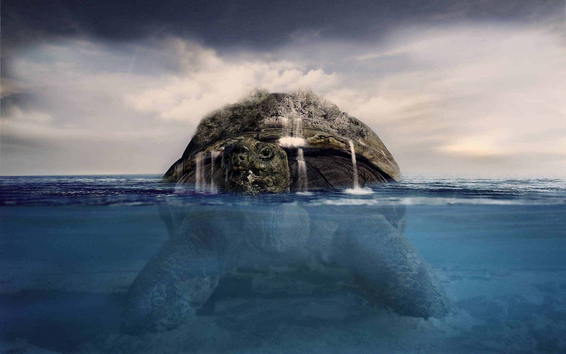 Download Gigantic Cool Turtle In The Sea Wallpaper