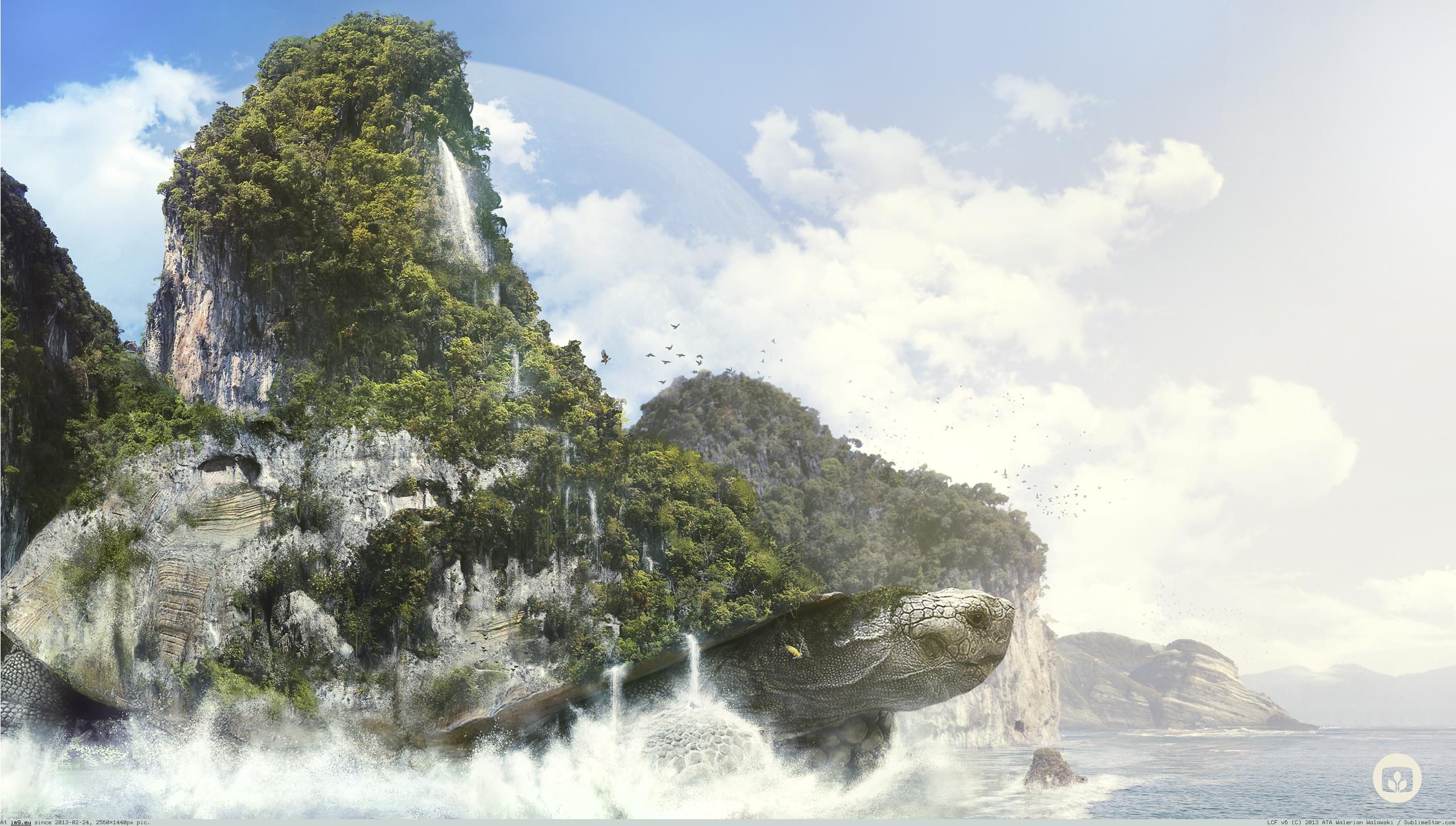 Pic. #Wallpaper #Turtle x1440, 527343B