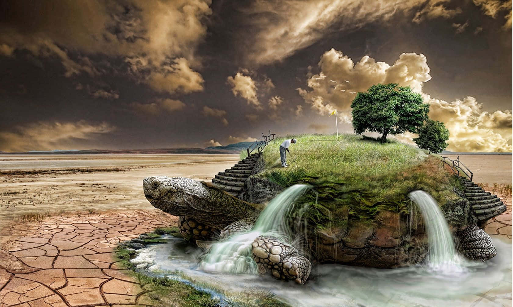 Download a turtle is sitting on a deserted island