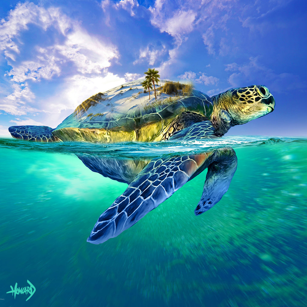 Turtle Island