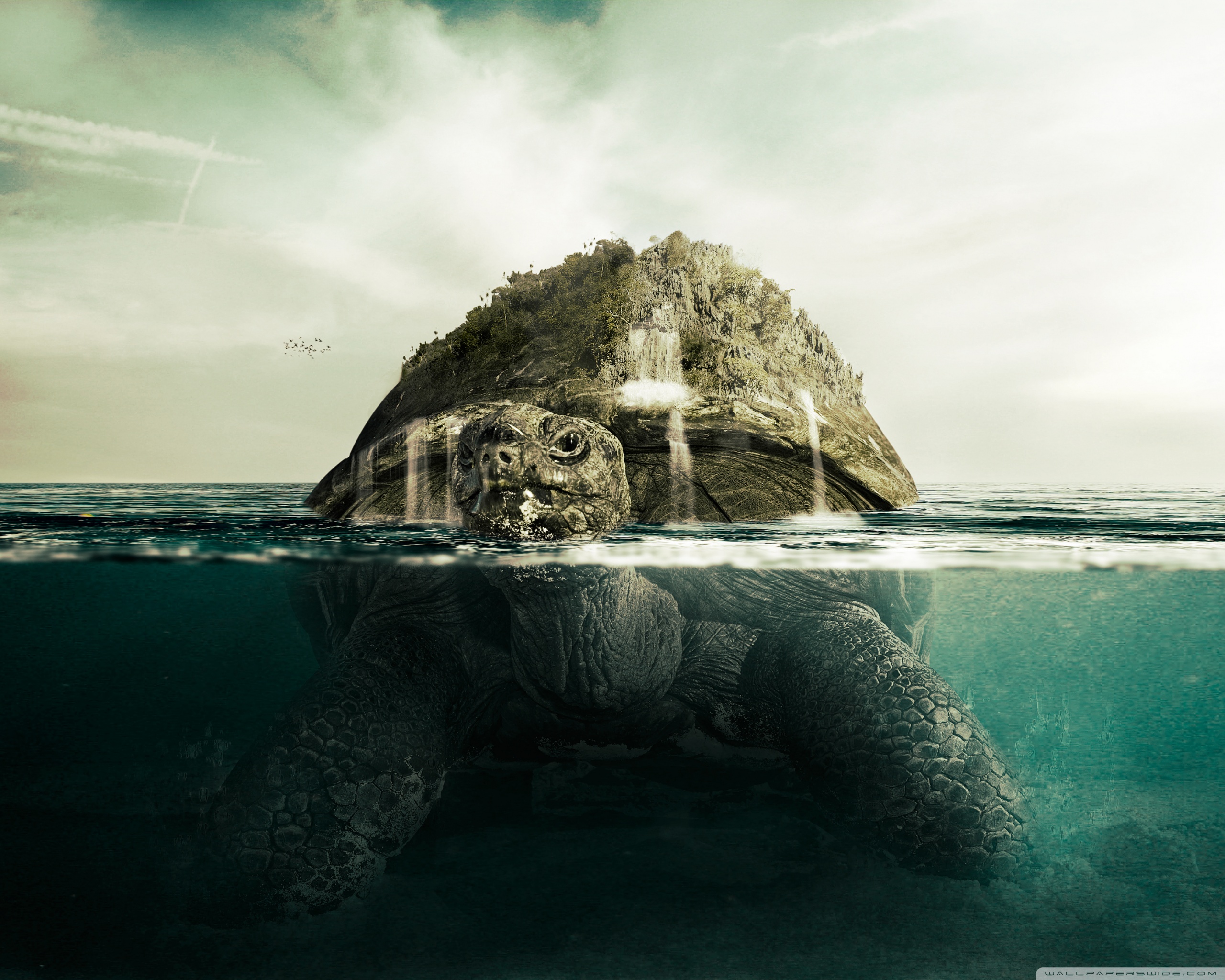 Giant Turtle Ultra HD Desktop Background Wallpaper for 4K UHD TV, Widescreen & UltraWide Desktop & Laptop, Tablet