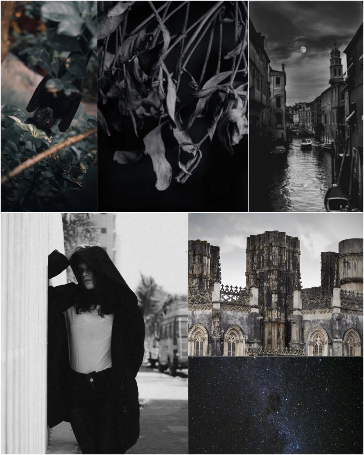 Halloween Mood Boards For 2022 Splendid Shambles