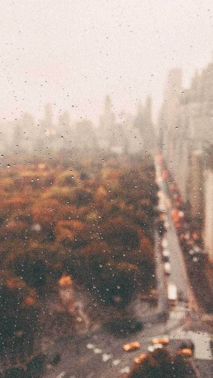 beautiful autumn image, autumn image free, autumn aesthetic, fall aesthethic, fall image, beautif. Pastel iphone wallpaper, iPhone wallpaper fall, Wallpaper