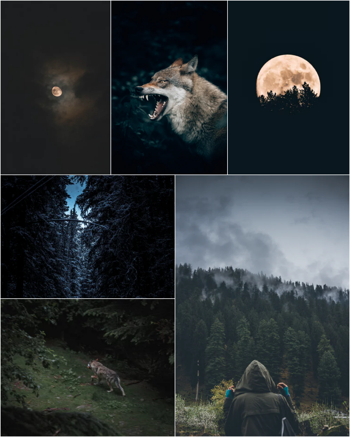 Halloween Mood Boards For 2022 Splendid Shambles