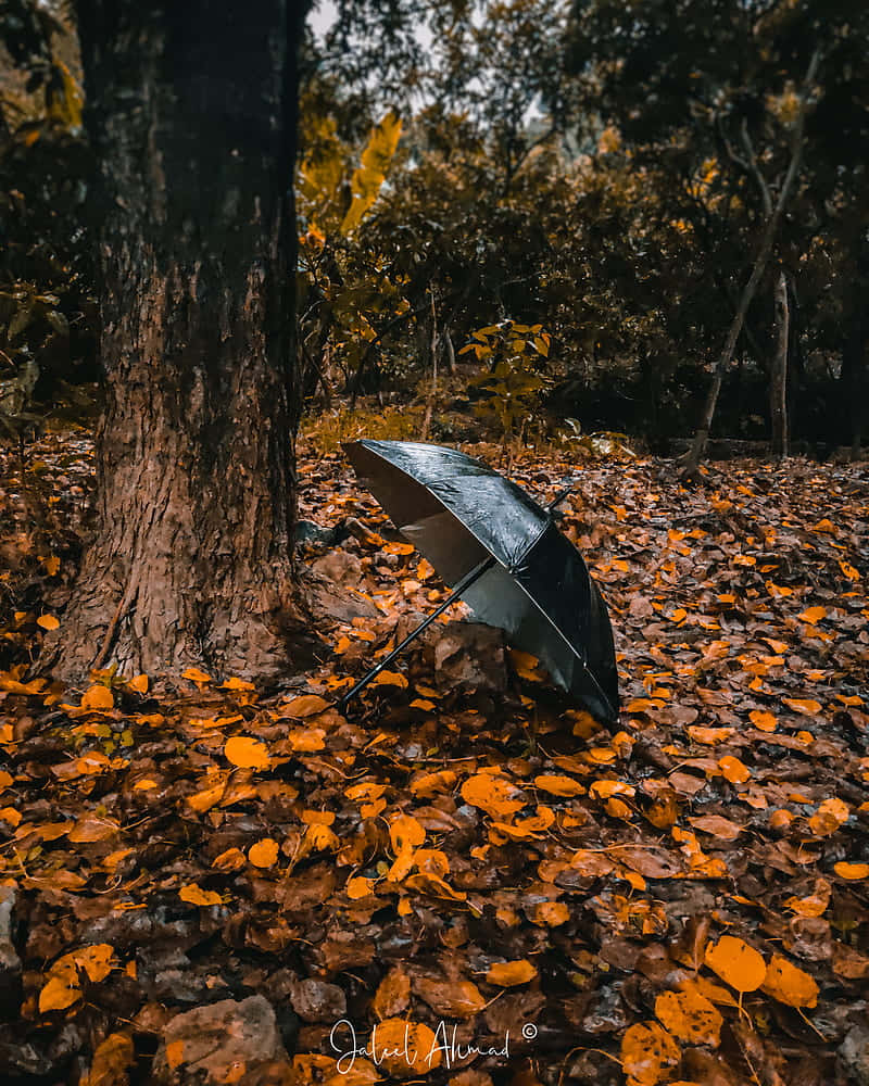 Download Fall Aesthetic Macbook Umbrella Wallpaper