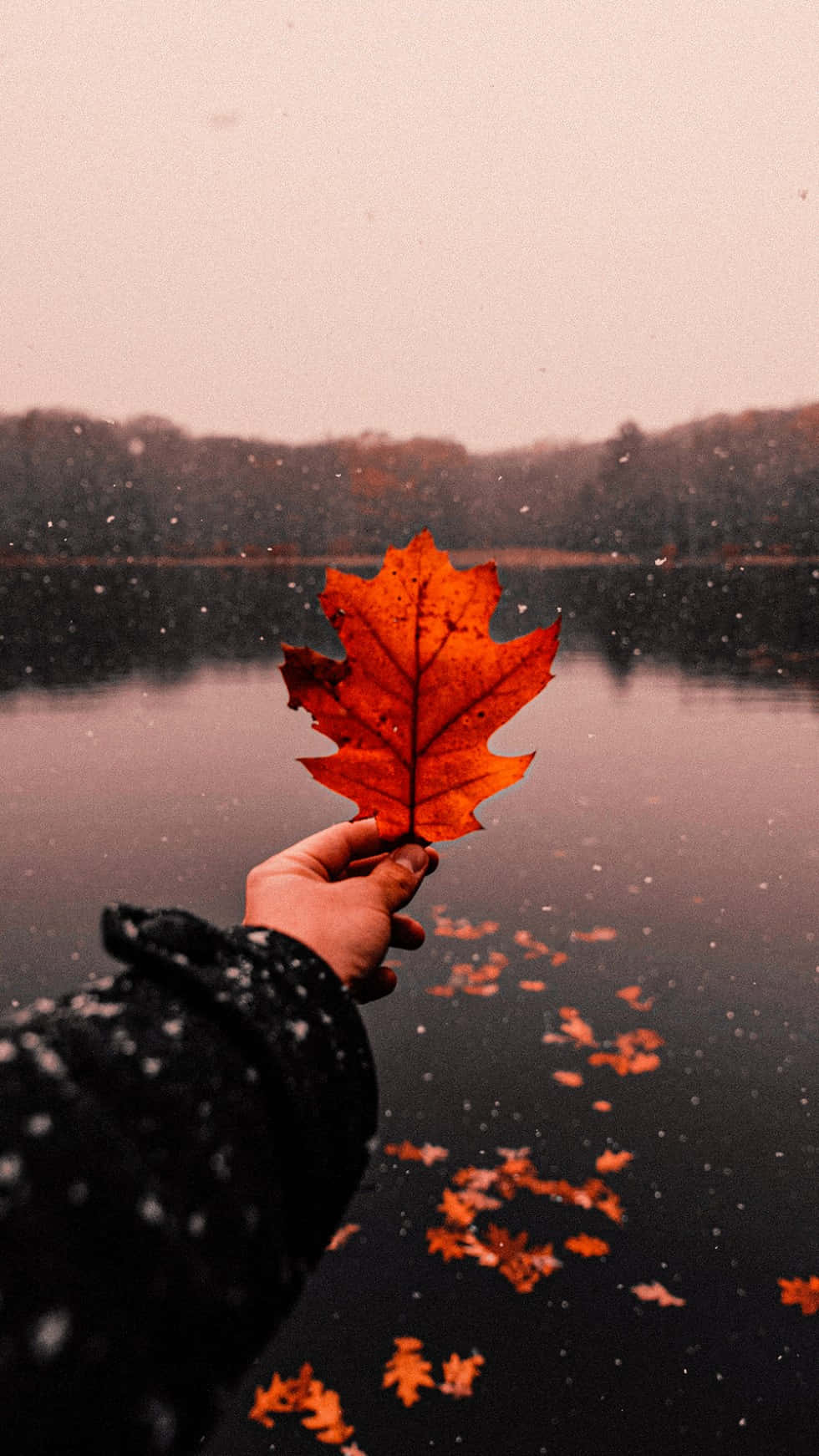 Download Enjoying the beauty of fall