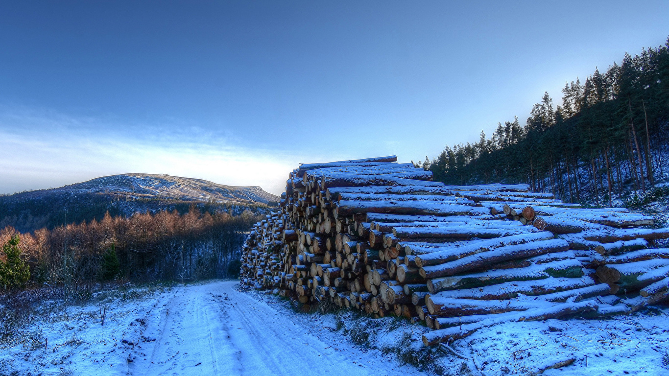 Desktop Wallpaper England Yorkshire Winter Nature Wood log 1366x768