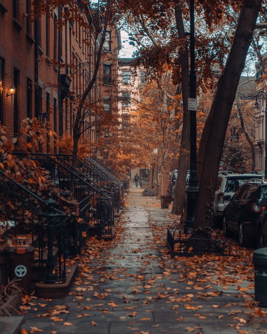 Street in Brooklyn Heights after the autumn rain, Brooklyn, New York City