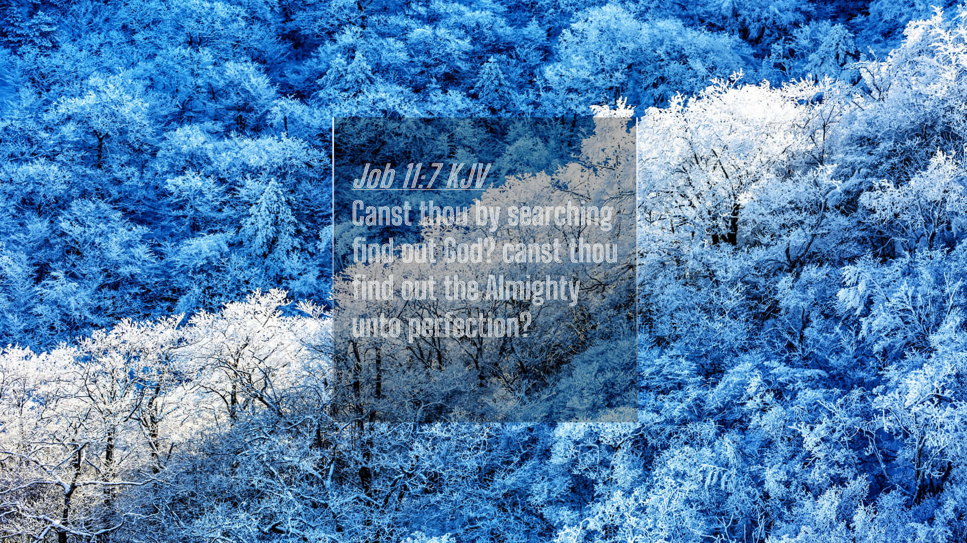 Download Searching Winter Bible Verse Wallpaper