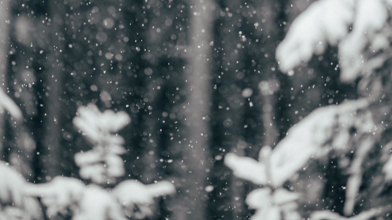 Download wallpaper 1366x768 snowfall, snow, winter tablet, laptop HD background