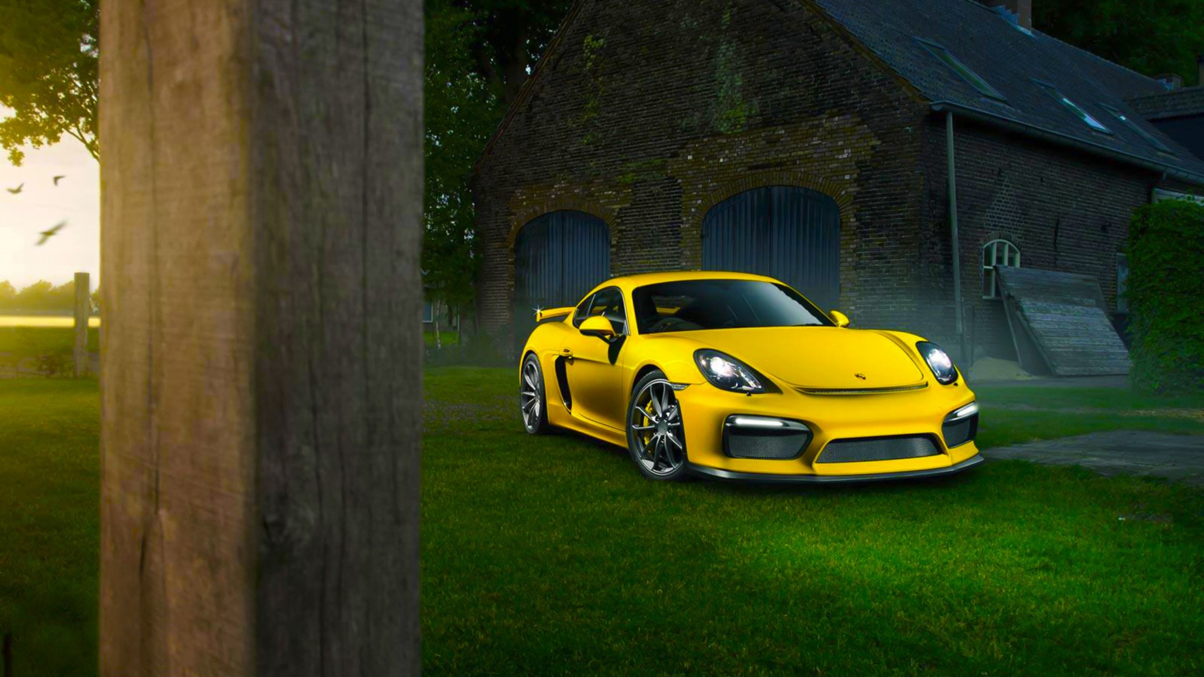 Porsche Cayman In Nature, HD Cars, 4k Wallpaper, Image, Background, Photo and Picture