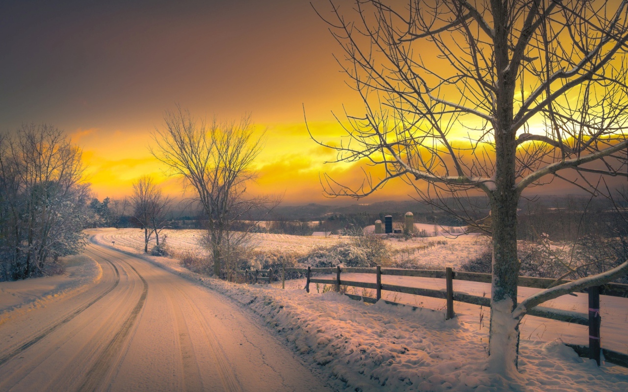 Yellow winter sunset Desktop wallpaper 1280x800