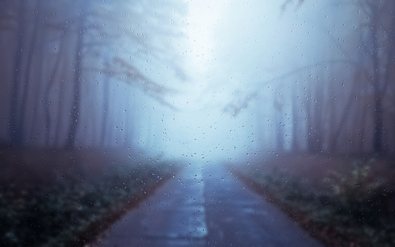 Rainy Day Autumn Alley