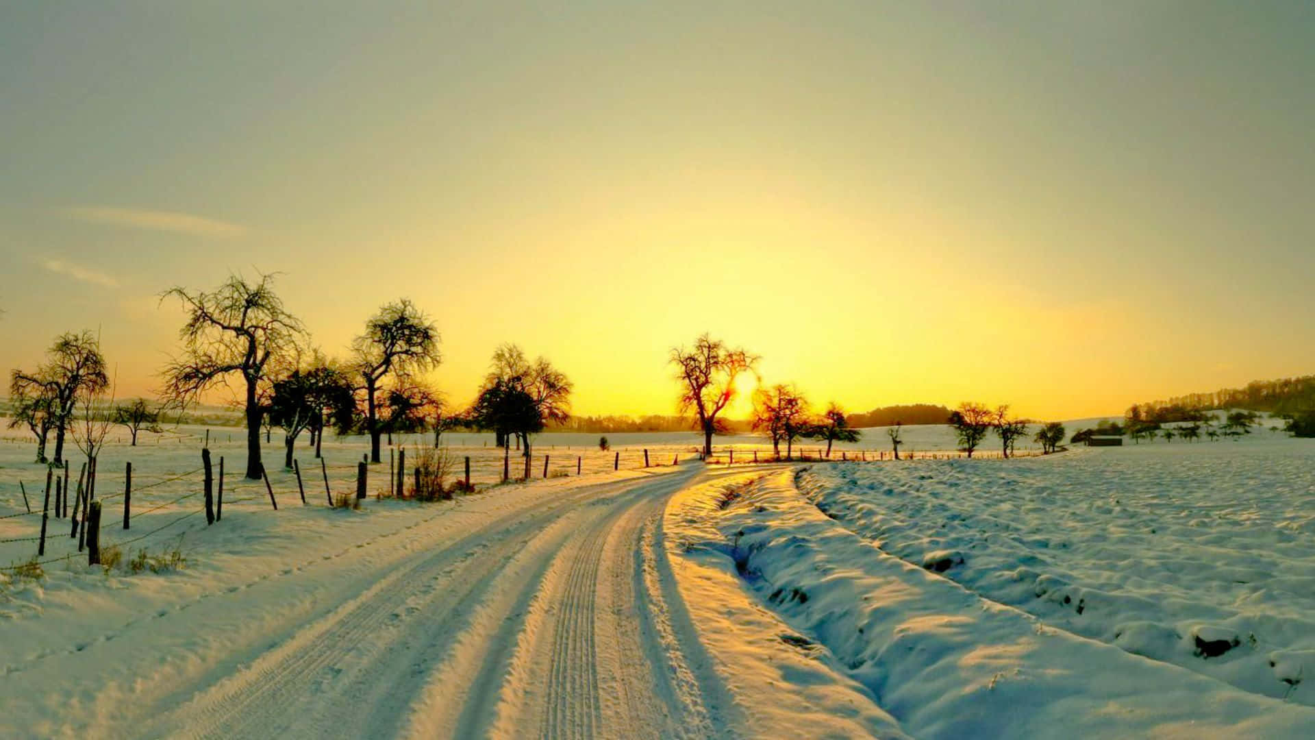 Download A Breathtaking Winter Sunset Wallpaper