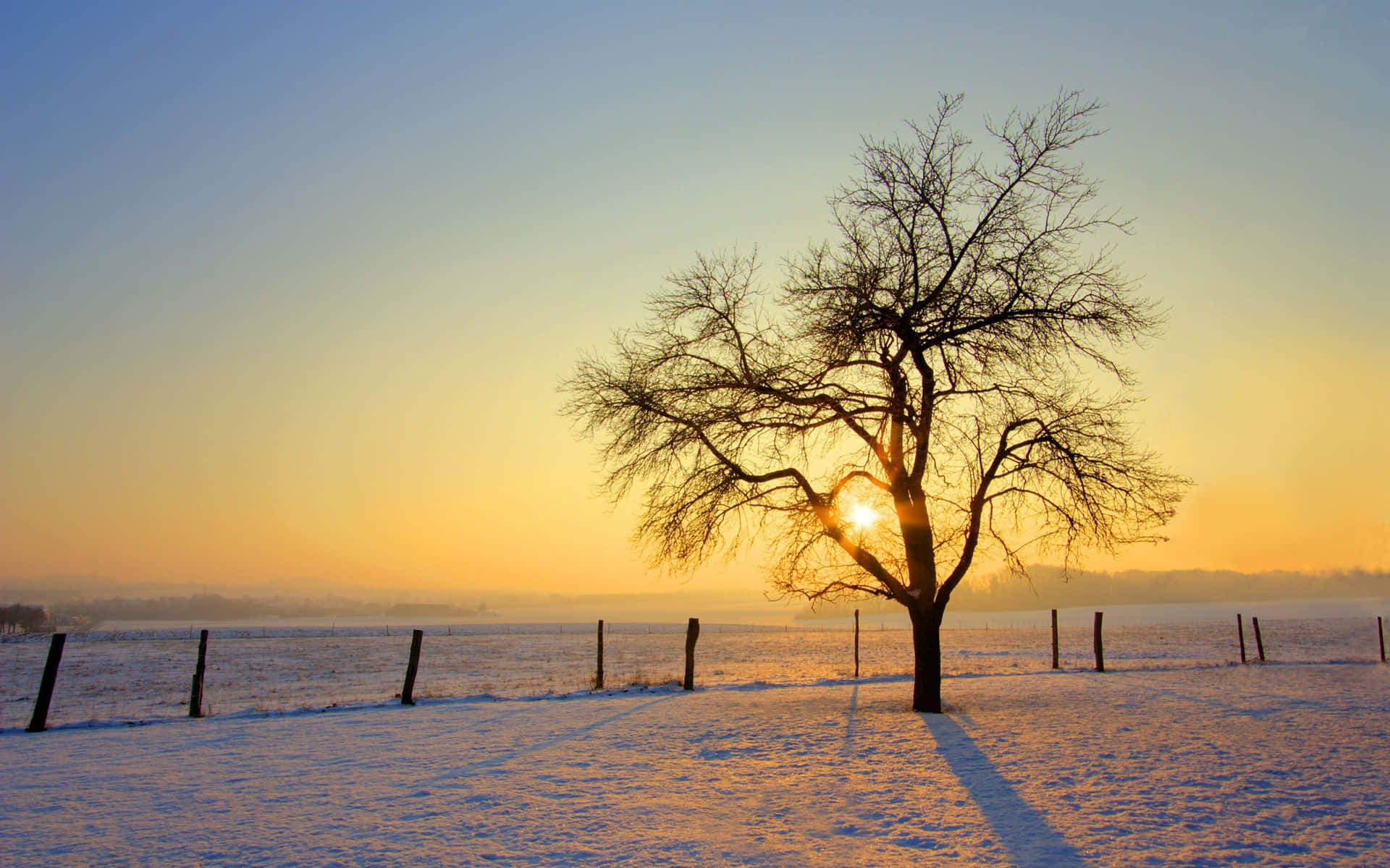 Download Sunrise In Winter Zoom Background