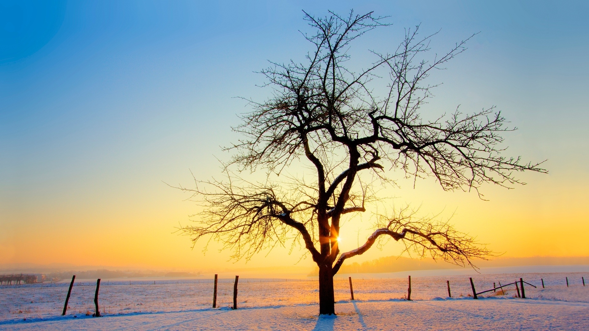 winter HD wallpaper, background